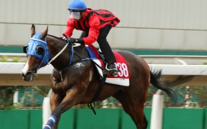 Karis Teetan dashes clear in a barrier trial on Montreal at Sha Tin recently. Photos: Kenneth Chan