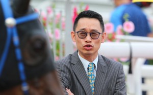 Jimmy Ting looks over one of his horses at Sha Tin. Photos: Kenneth Chan