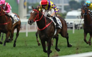 Regan Bayliss lifts Champion’s Way to victory in March. Photos: Kenneth Chan