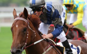 Aethero wins easily on debut at Sha Tin under Zac Purton. Photos: Kenneth Chan