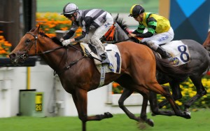 Little Giant lands his first Group success at Sha Tin on Sunday. Photos: Kenneth Chan