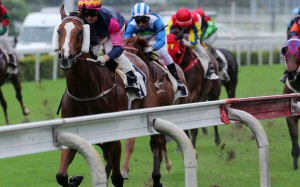 Thanks Forever runs away from Voyage Warrior to win at Sha Tin on Sunday. Photos: Kenneth Chan