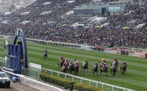 Racing at Sha Tin. Photos: Kenneth Chan