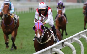Karis Teetan wins aboard Multimillion at Sha Tin in March. Photos: Kenneth Chan