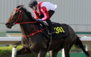 Jockey Umberto Rispoli trials Frankie Lor’s Thinkin’ Big on the all-weather surface ahead of his debut on Sunday. Photos: Kenneth Chan