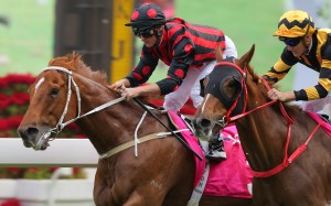 Time Warp beats Glorious Forever to win at Group Three level earlier this season. Photos: Kenneth Chan