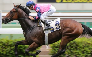 Chicken Dance in full flight as he goes on to win easily at Sha Tin. Photos: Kenneth Chan