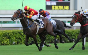 Long shot Winning Delight thunders to victory under Zac Purton. Photos: Kenneth Chan