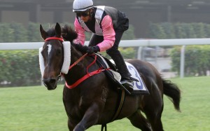 Zac Purton trials Beauty Spark at Happy Valley this season. Photos: Kenneth Chan