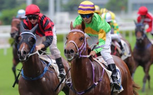 Derek Leung guides Classic Unicorn to victory at Sha Tin on Sunday. Photos: Kenneth Chan