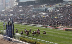 Horses race across the line at Sha Tin. Photo: Kenneth Chan