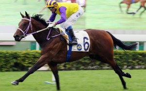 Invincible Missile salutes on debut in December last year, but hasn’t won since. Photos: Kenneth Chan