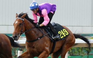 Vincent Ho trials King’s Race at Sha Tin earlier this month. Photos: Kenneth Chan