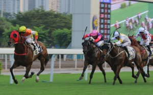 Happy Fun wins the last race Betfair hosted a market on in Hong Kong. Photo: Kenneth Chan
