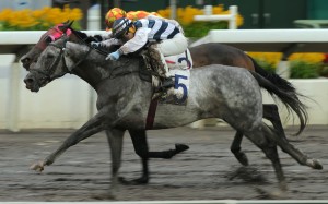 Matthew Poon pilots Rickfield to an upset victory at Sha Tin on Sunday. Photos: Kenneth Chan
