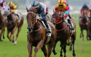 Aethero bolts in at Sha Tin under jockey Joao Moreira. Photos: Kenneth Chan