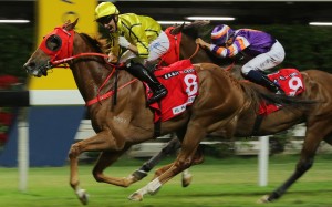 Neil Callan celebrates as Owners’ Star salutes at Happy Valley on Wednesday night. Photos: Kenneth Chan
