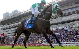 Pakistan Star wins the 2018 Champions & Chater Cup. Photos: Kenneth Chan