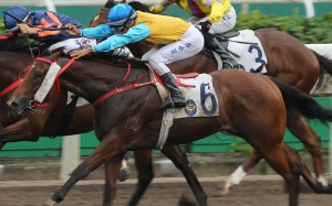 Coby Oppa wins in Class Three grade on the all-weather surface at Sha Tin. Photos: Kenneth Chan
