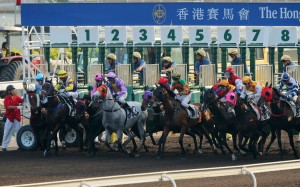 Horses jump from the gates during one of the dirt races at Sha Tin on Sunday. Photos: Kenneth Chan