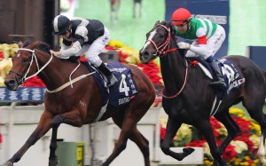 Exultant (inside) edges out Lys Gracieux to win the Group One Hong Kong Vase (2,400m) in December. Photos: Kenneth Chan
