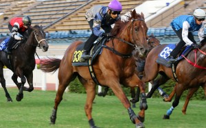 Karis Teetan partners Aethero to victory in a trial on Tuesday morning. Photos: Kenneth Chan