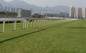 Life inside Sha Tin racecourse has continued as chaos reigns outside. Photo: Kenneth Chan