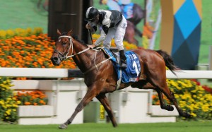 Exultant wins the Group One Champions & Chater Cup in May. Photos: Kenneth Chan