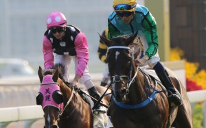 Beauty Generation (left) is beaten by Rise High (right) last month. Photos: Kenneth Chan