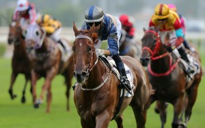 Aethero wins at Sha Tin in October. Photos: Kenneth Chan