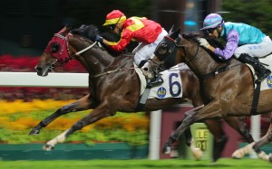 Silvestre de Sousa drives Above to victory at Happy Valley on Wednesday night. Photos: Kenneth Chan
