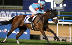 Almond Eyes wins the Group One Dubai Turf in March. Photos: Kenneth Chan