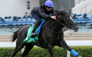Joao Moreira works Glory Vase at Sha Tin. Photos: Kenneth Chan