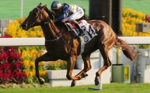 Aethero wins the Jockey Club Sprint last month. Photos: Kenneth Chan