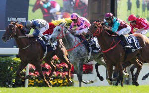 Aethero (inside) is overhauled by Hot King Prawn (middle) and Beat The Clock (outside) at Sha Tin on Sunday. Photos: Kenneth Chan