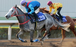 Zac Purton trials Decrypt earlier this month. Photo: Kenneth Chan