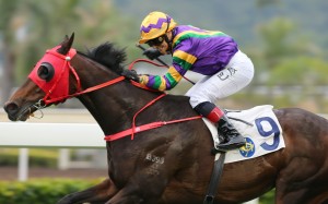 Alexis Badel celebrates his win aboard Perfect Match on Sunday. Photos: Kenneth Chan