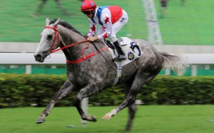 Big Party wins at Sha Tin in May. Photos: Kenneth Chan