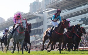 Beat The Clock takes out the Hong Kong Sprint. Photos: Kenneth Chan