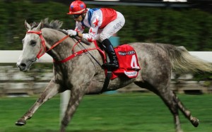 Big Party runs away to win easily at Happy Valley. Photos: Kenneth Chan