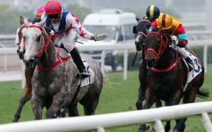 Grant van Niekerk gives Big Party a pat as he cruises to victory in the Group Three Bauhinia Sprint Trophy at Sha Tin on Sunday. Photos: Kenneth Chan