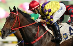 Champion’s Way wins at Sha Tin last season. Photos: Kenneth Chan