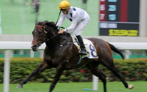 Golden Sixty bolts clear at Sha Tin on Wednesday. Photos: Kenneth Chan
