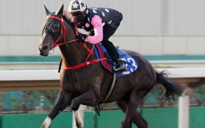 Beauty Legacy trials under Joao Moreira at Sha Tin last month. Photos: Kenneth Chan