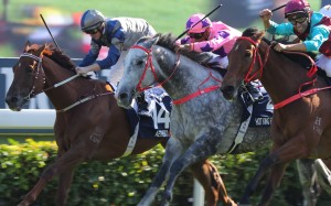 Aethero (inside) runs third in the Group One Hong Kong Sprint. Photos: Kenneth Chan
