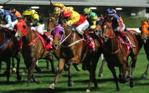 Horses fight out the finish at Happy Valley last month. Photos: Kenneth Chan