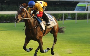 Columbus County bowls along in a barrier trial. Photos: Kenneth Chan