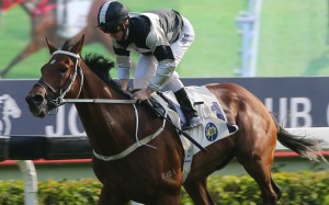 Zac Purton guides Exultant to victory in November’s Group Two Jockey Club Cup. Photos: Kenneth Chan