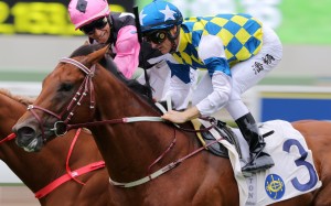 Computer Patch wins ahead of Beauty Applause at Sha Tin last month. Photos: Kenneth Chan