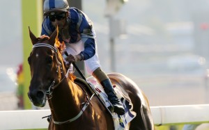 Aethero wins at Sha Tin this season. Photos: Kenneth Chan